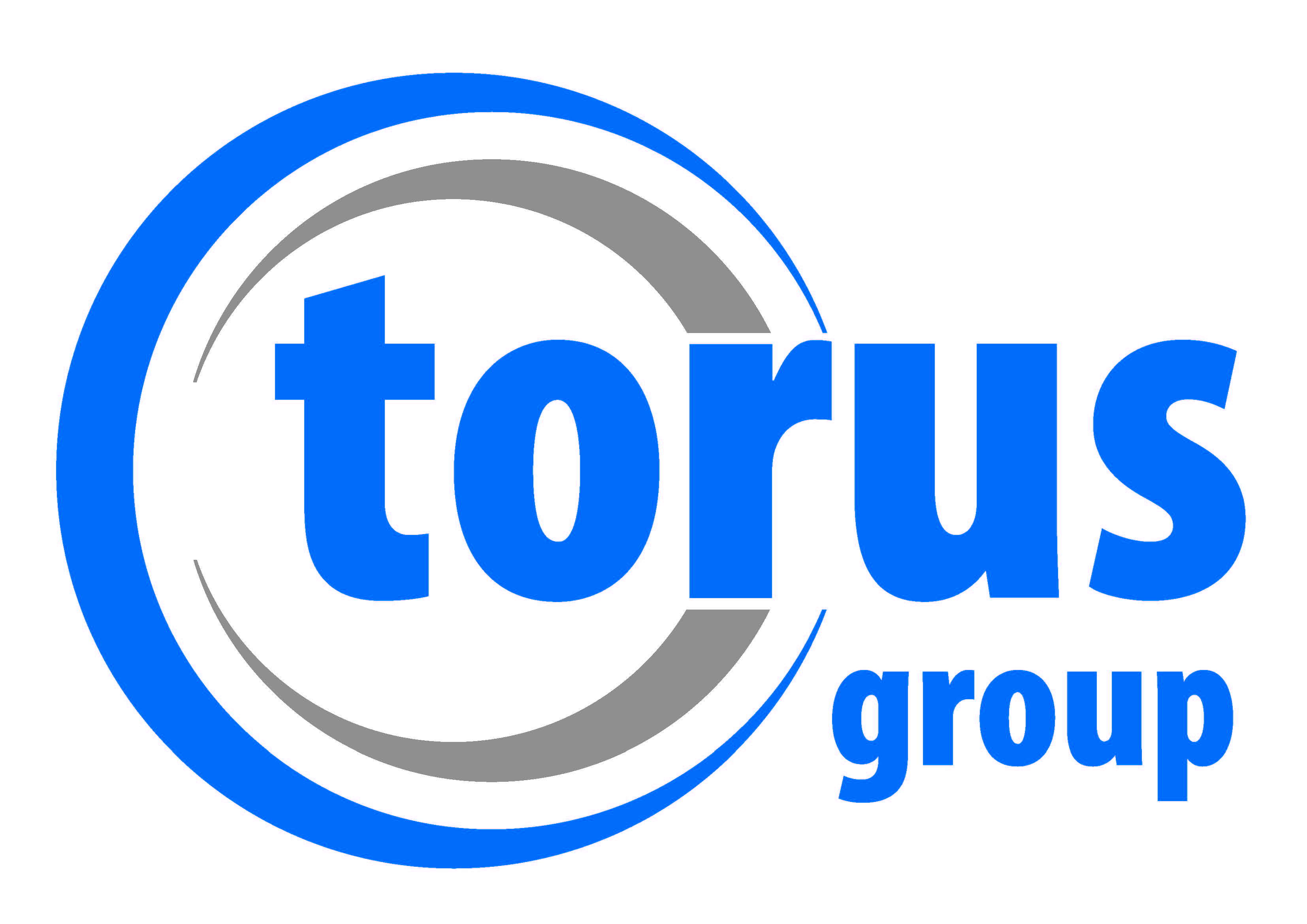 Torus Metrology Systems